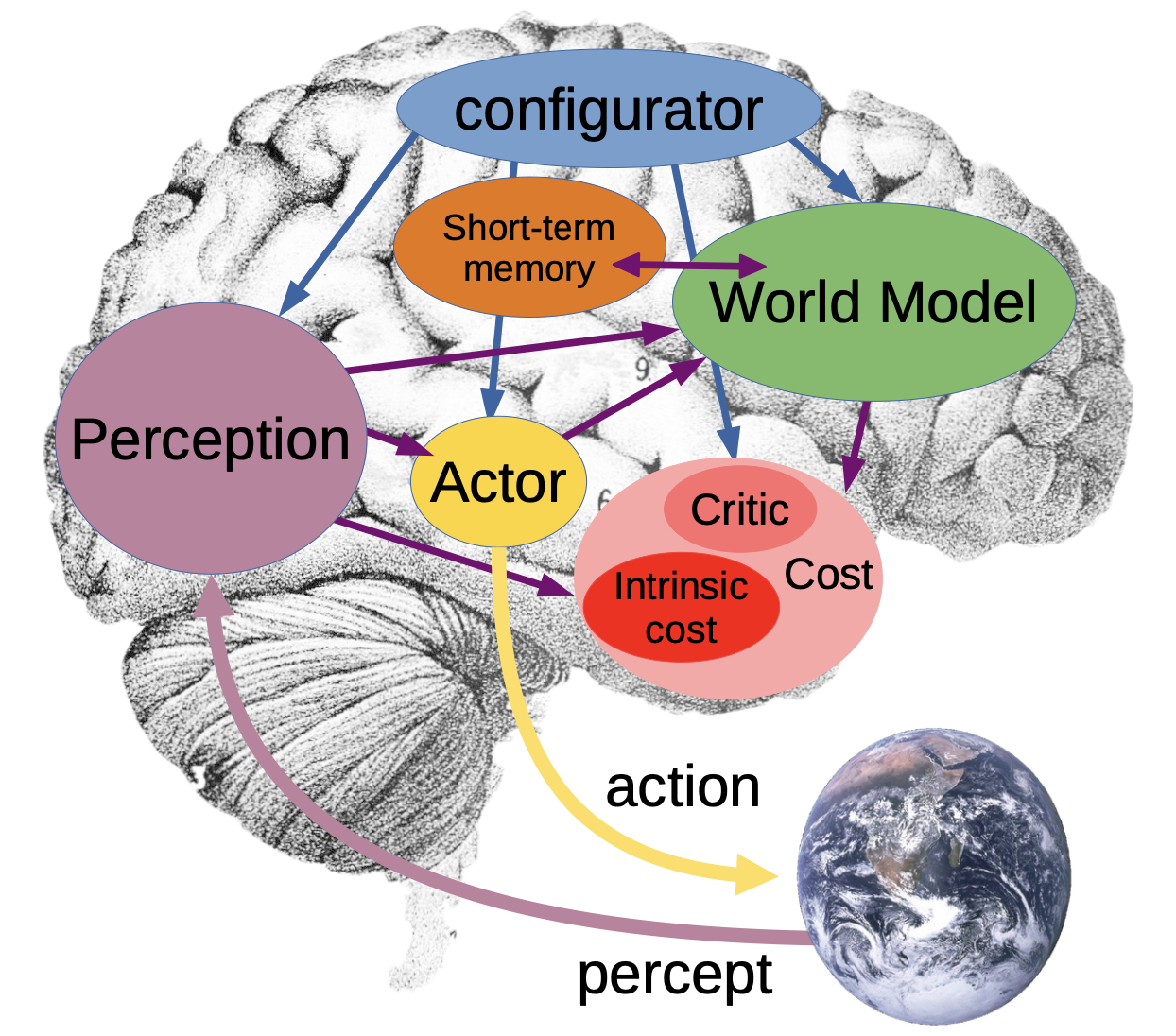 A system architecture for autonomous intelligence